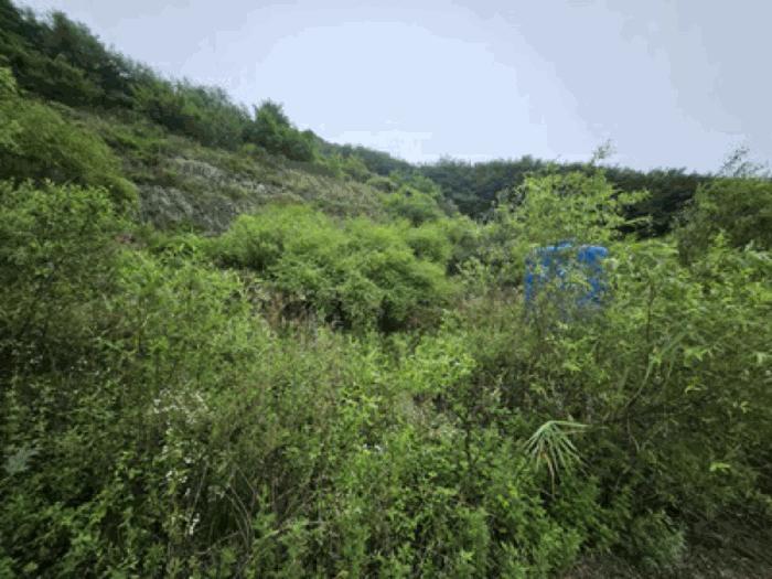 2025타경640 법원경매 사진7 | 천안 동남구 임야 경매