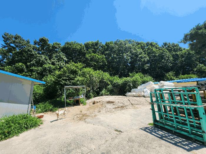 2025타경1562 법원경매 사진4 | 충북 충주시 답 경매