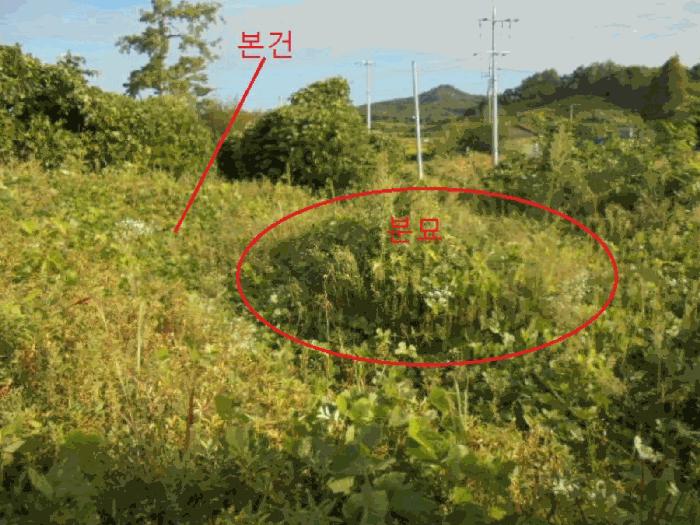 2025타경2237 법원경매 사진2 | 충북 음성군 임야 경매