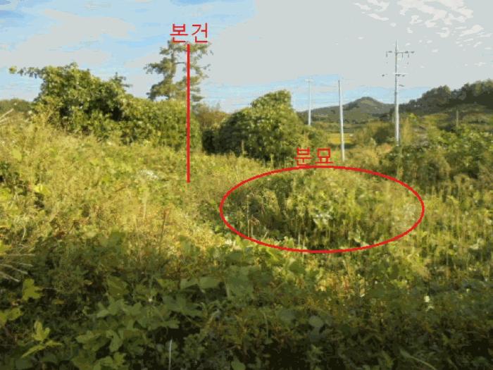 2025타경2237 법원경매 사진4 | 충북 음성군 임야 경매