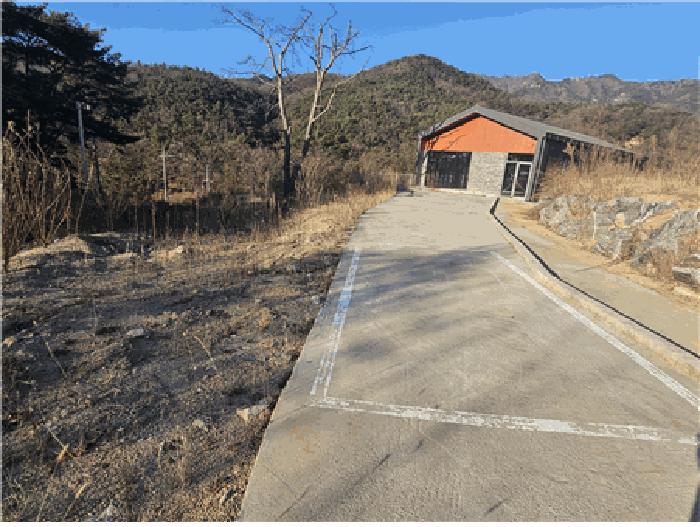 법원경매 2025타경1151 사진3 | 대구 동구 진인동 산203-6 임야 경매