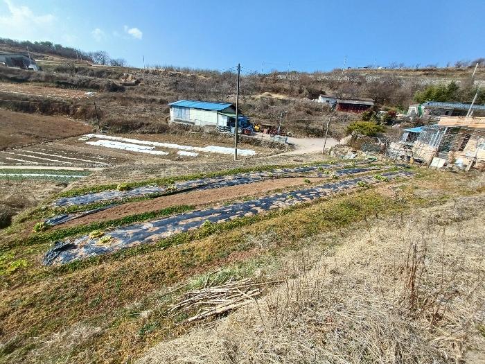2024타경459 법원경매 사진5 | 경남 사천시 답 경매