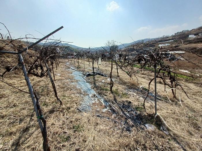 2024타경459 법원경매 사진4 | 경남 사천시 전답 경매