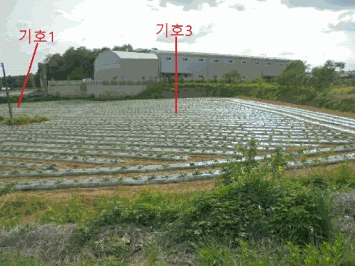 2025타경30518 법원경매 사진6 | 충북 음성군 전답 경매