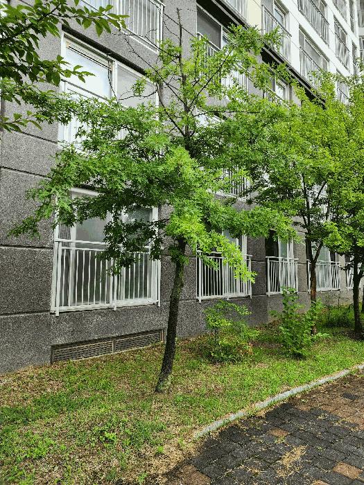 2025타경30719 법원경매 사진8 | 충북 충주시 아파트 경매