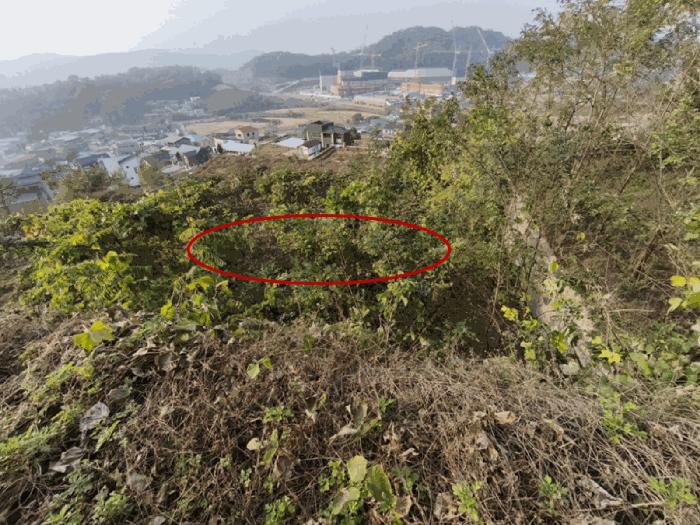 2025타경12582 법원경매 사진4 | 충남 아산시 임야 경매
