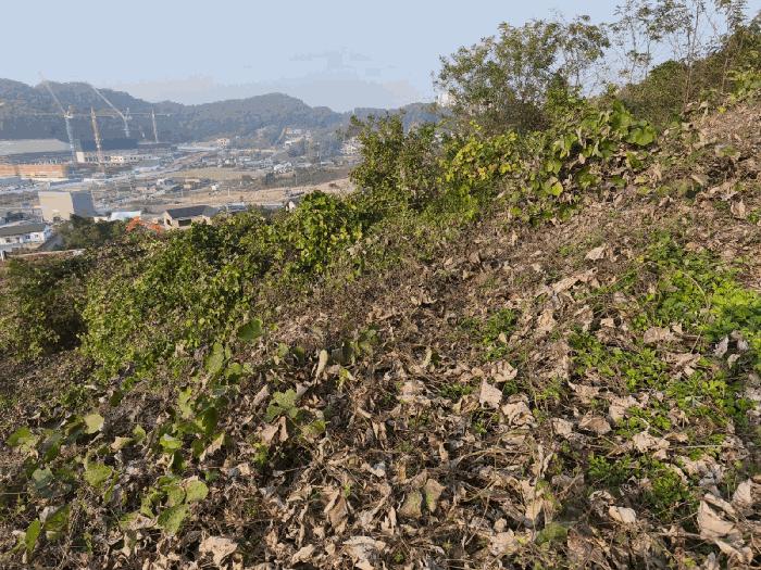 2025타경12582 법원경매 사진8 | 충남 아산시 임야 경매