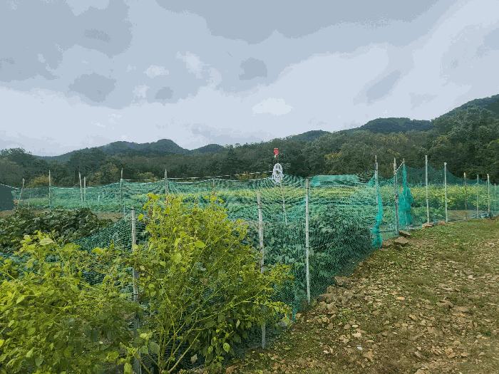 법원경매 2025타경9318 사진4 | 칠곡군 북삼읍 어로리 464 전 경매