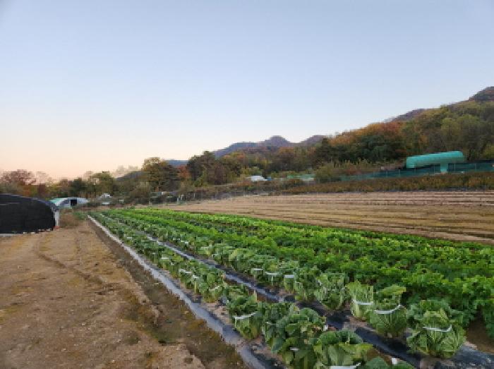 법원경매 2025타경9318 사진7 | 칠곡군 북삼읍 어로리 464 전 경매
