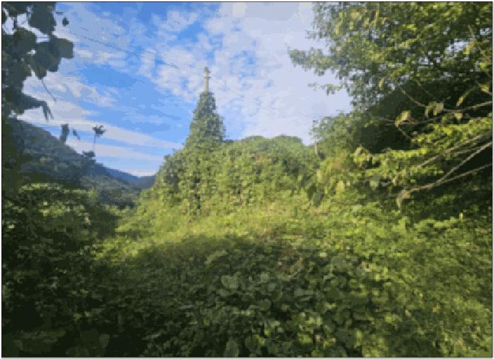 2025타경633 법원경매 사진4 | 전남 순천시 기타 경매