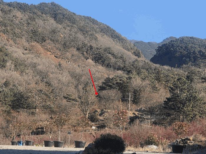전라남도 구례군 산동면 탑정리 504 법원경매 물건 대표사진