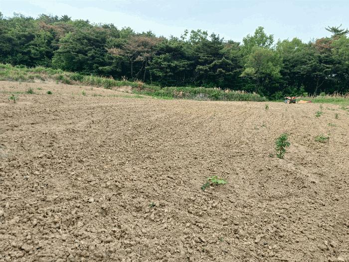 법원경매 2025타경348 사진5 | 포항시 남구 오천읍 원리 792 답 경매