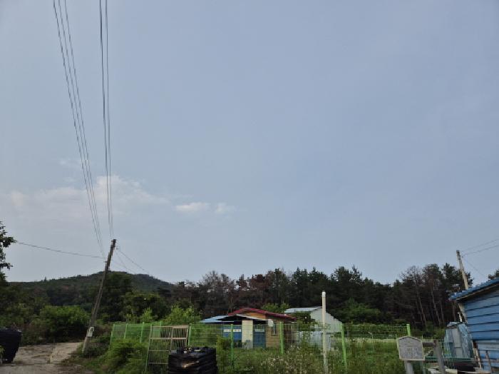 2025타경363 법원경매 사진4 | 포항 북구 임야 경매
