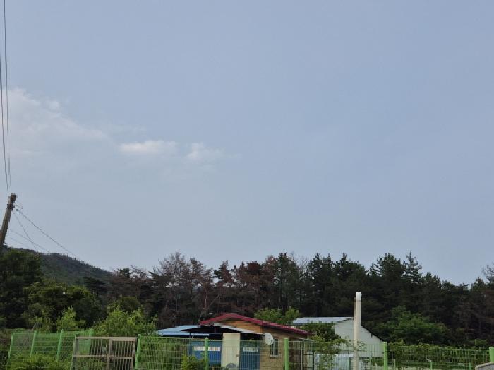 2025타경363 법원경매 사진5 | 포항 북구 임야 경매