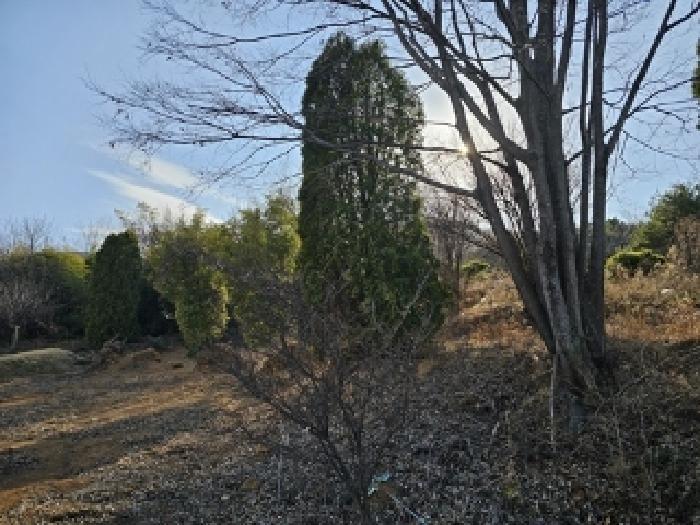2025타경425 법원경매 사진29 | 경남 산청군 답 경매
