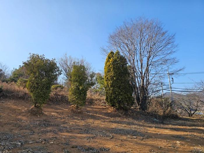 2025타경425 법원경매 사진31 | 경남 산청군 답 경매