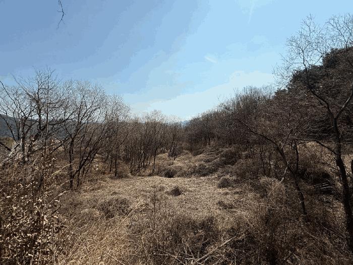 2025타경425 법원경매 사진7 | 경남 산청군 답 경매