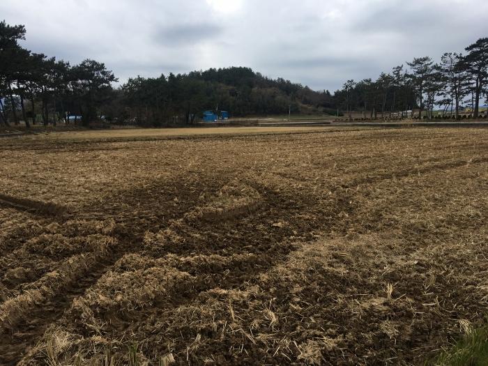 2024타경55429 법원경매 사진24 | 전남 해남군 주택건물 경매