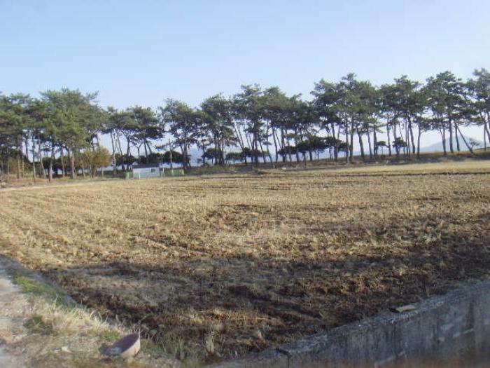 2024타경55429 법원경매 사진34 | 전남 해남군 주택건물 경매