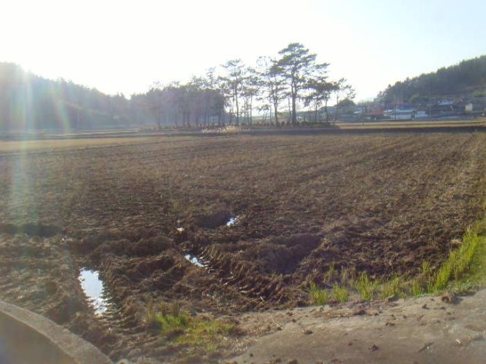 2024타경55429 법원경매 사진35 | 전남 해남군 주택건물 경매
