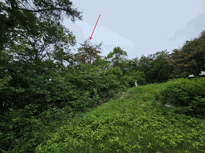 2025타경3720 법원경매 사진2 | 포항 남구 임야 경매