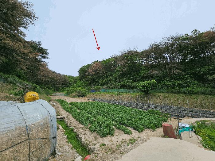 2025타경3720 법원경매 사진4 | 포항 남구 임야 경매