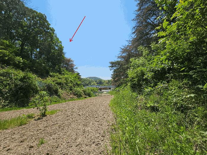 2025타경3720 법원경매 사진6 | 포항 남구 임야 경매
