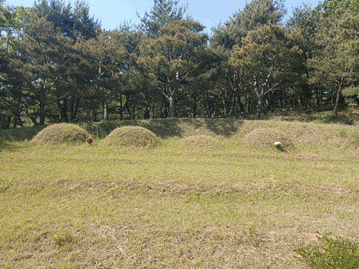 경상남도 사천시 곤명면 삼정리 산31 법원경매 물건 대표사진