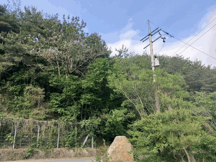 2025타경674 법원경매 사진13 | 경남 사천시 임야 경매
