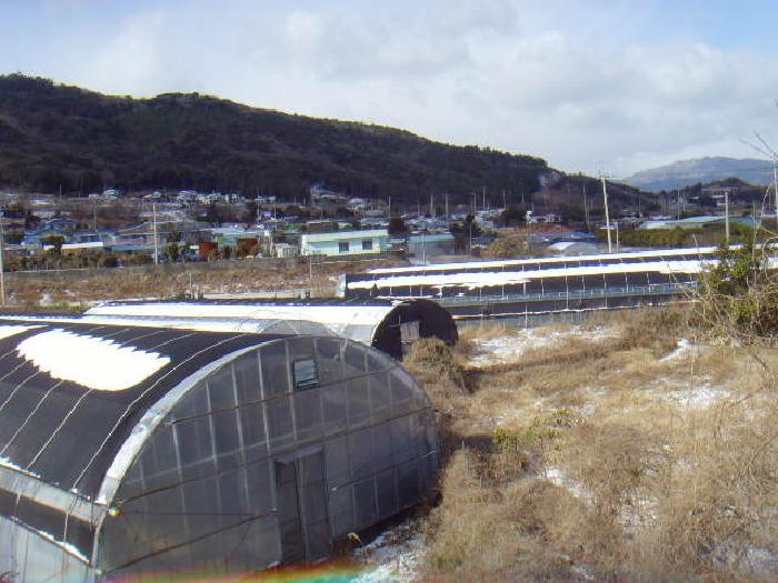 2025타경648 법원경매 사진9 | 전남 완도군 전 경매