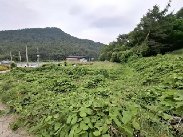 법원경매 2025타경720 사진10 | 남해군 남해읍 입현리 1040 전 경매