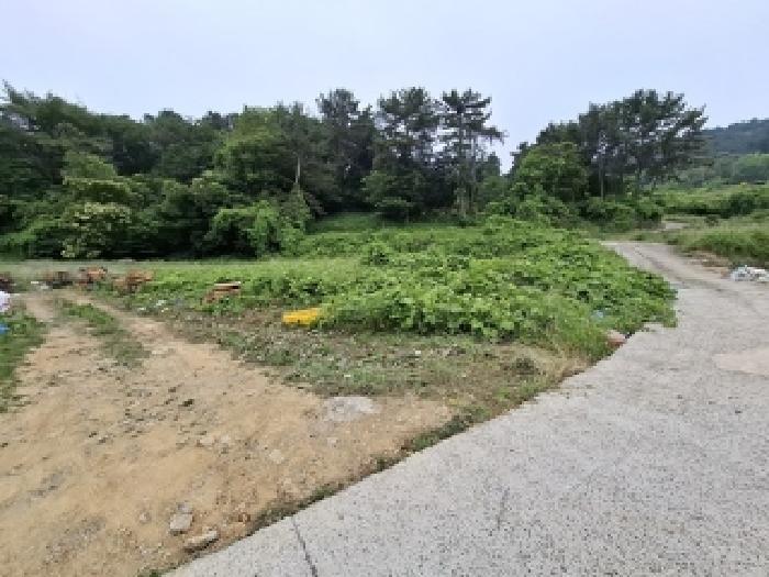 법원경매 2025타경720 사진11 | 남해군 남해읍 입현리 1040 전 경매