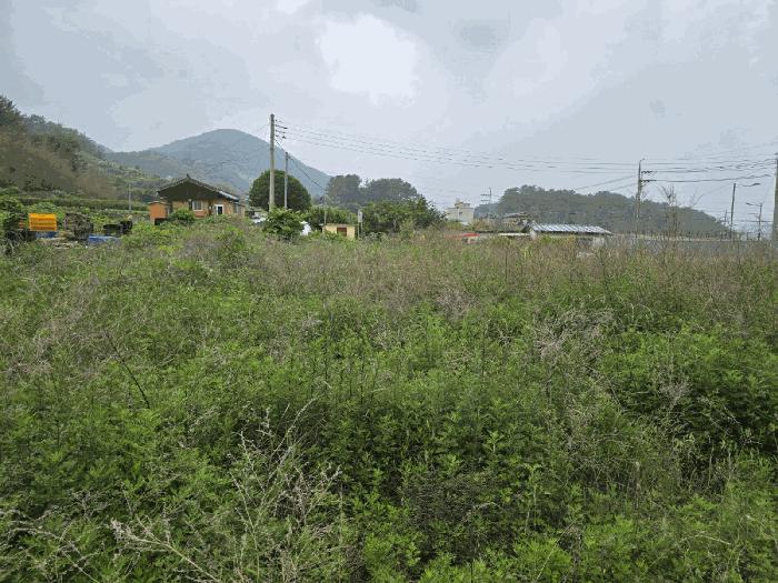 법원경매 2025타경720 사진5 | 남해군 남해읍 입현리 1040 전 경매