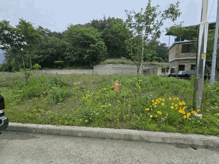 법원경매 2025타경720 사진6 | 남해군 남해읍 입현리 1040 전 경매
