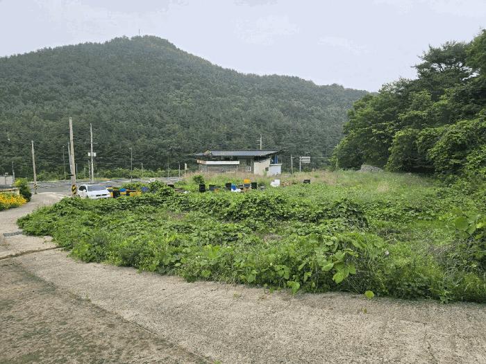 법원경매 2025타경720 사진7 | 남해군 남해읍 입현리 1040 전 경매