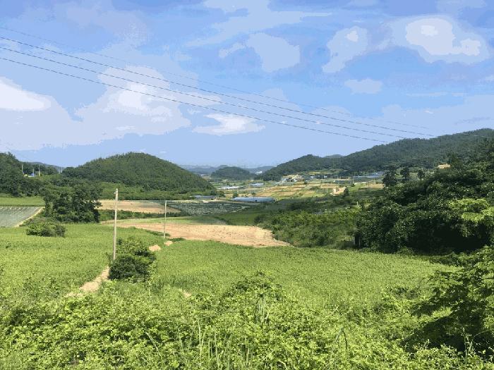 2025타경1245 법원경매 사진3 | 전남 진도군 과수원 경매