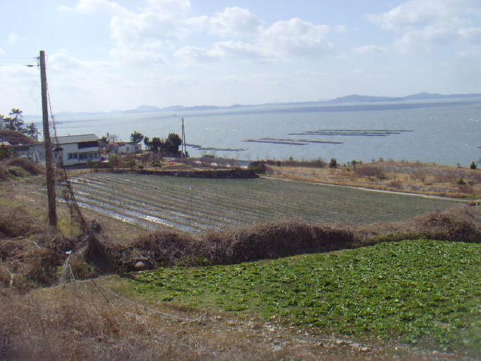 2025타경50337 법원경매 사진7 | 전남 해남군 전 경매