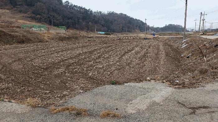 2025타경50339 법원경매 사진3 | 전남 해남군 답 경매