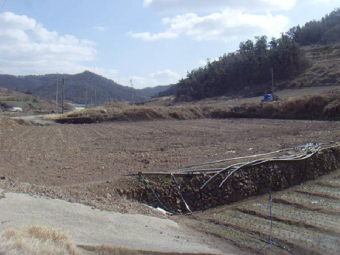 2025타경50339 법원경매 사진6 | 전남 해남군 답 경매