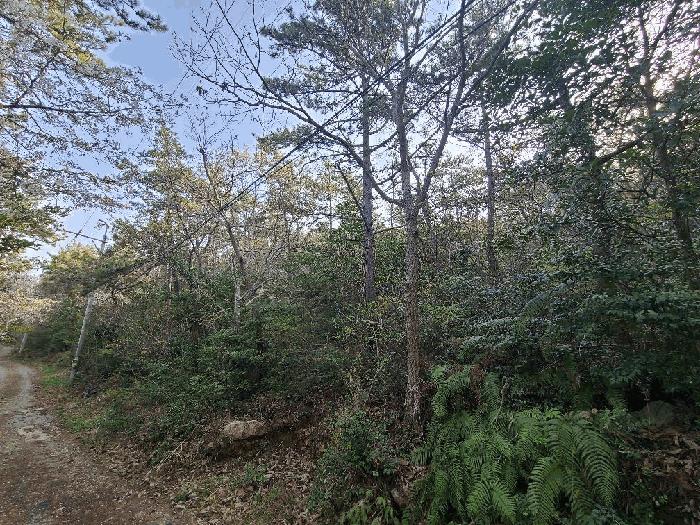 2025타경50422 법원경매 사진7 | 전남 해남군 임야 경매
