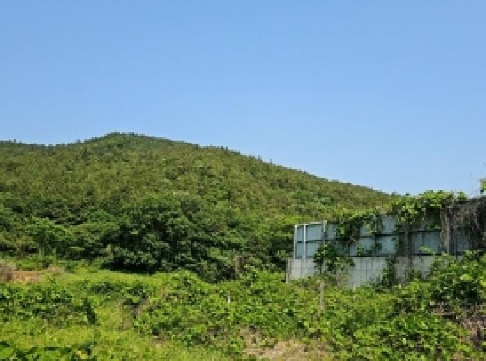 2025타경50456 법원경매 사진9 | 전남 해남군 임야 경매