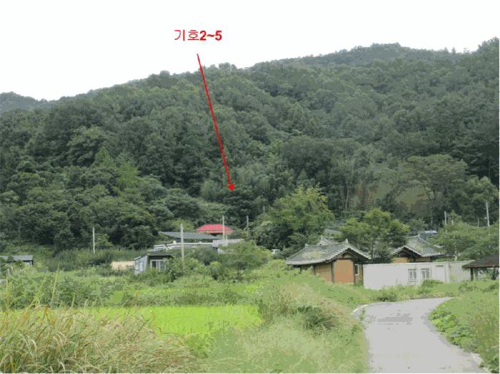 2025타경52003 법원경매 사진3 | 전남 보성군 대지,임야,전답 경매