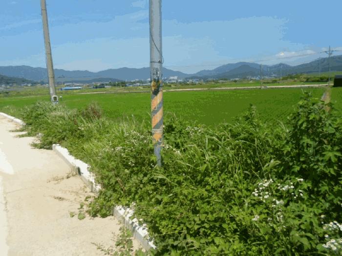 2025타경50508 법원경매 사진6 | 전남 해남군 답 경매
