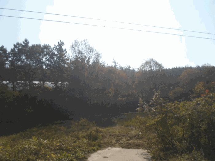 2025타경50694 법원경매 사진11 | 전남 해남군 임야 경매