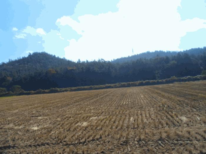 2025타경50694 법원경매 사진7 | 전남 해남군 임야 경매