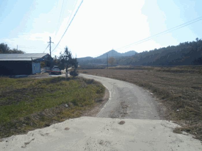 2025타경50694 법원경매 사진9 | 전남 해남군 임야 경매