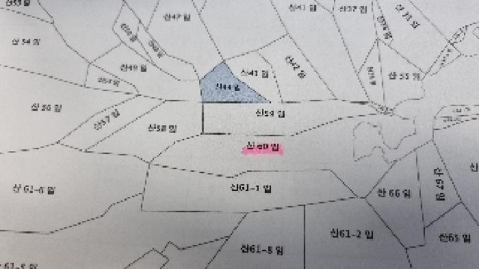 2025타경1166 법원경매 사진14 | 전북 남원시 임야 경매