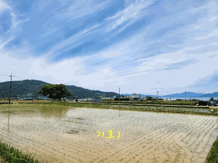 2025타경30880 법원경매 사진2 | 경남 사천시 전답 경매