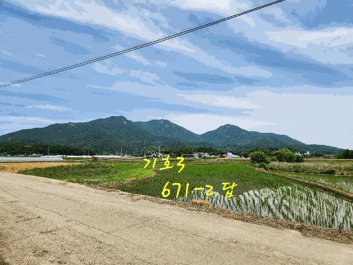 2025타경30880 법원경매 사진5 | 경남 사천시 전답 경매