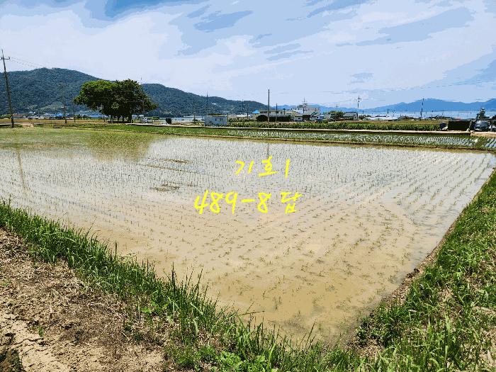 2025타경30880 법원경매 사진8 | 경남 사천시 전답 경매